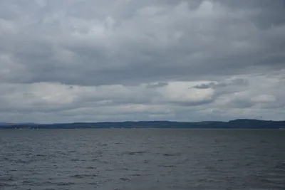 DSC_7313 (Large).JPG